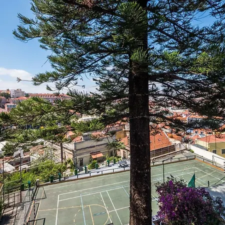 Rent4rest Dream View *